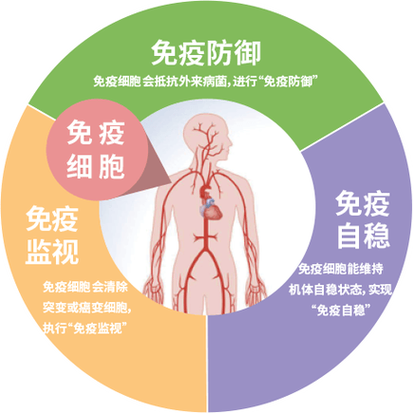 免疫治疗能根治癌症吗