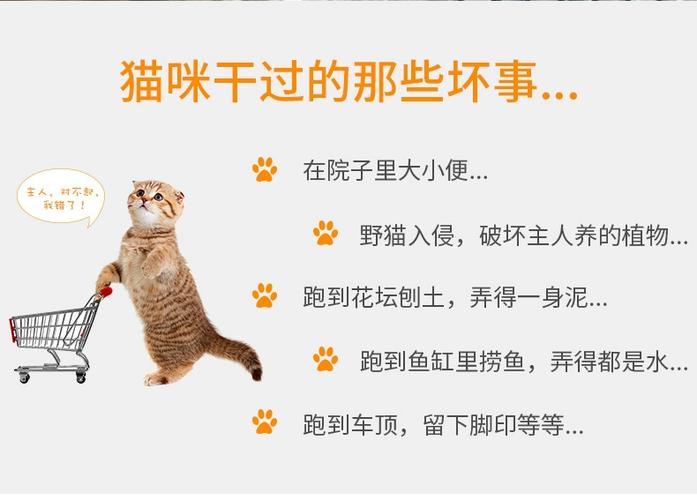 猫最怕什么东西驱赶猫