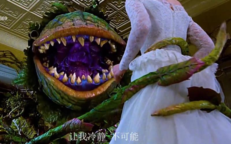 食人花电影完整版
