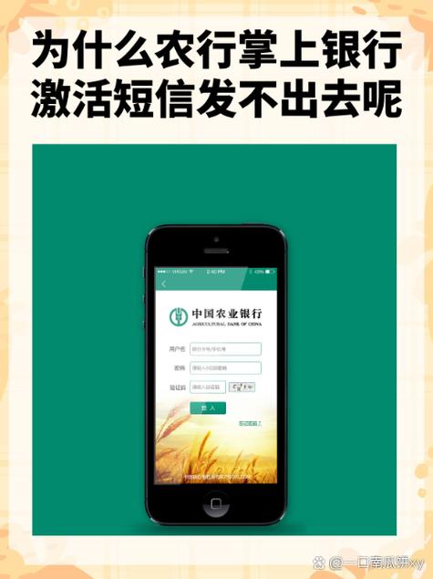 网上申请办银行卡