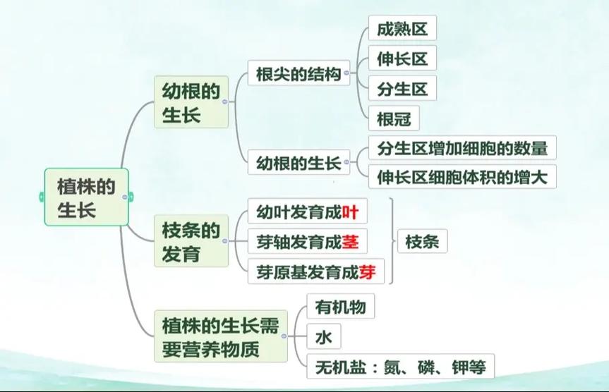初中生物知识框架图
