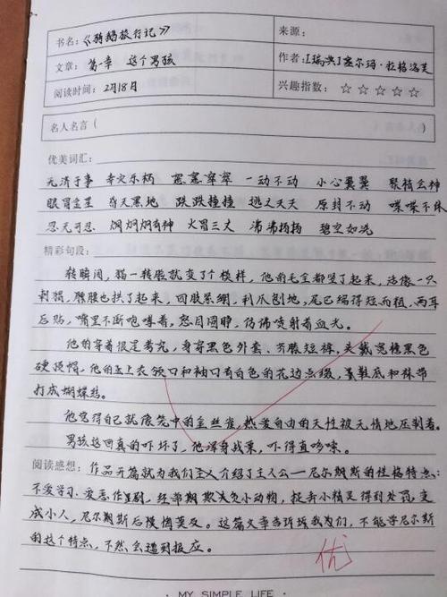 读书笔记摘抄笔记