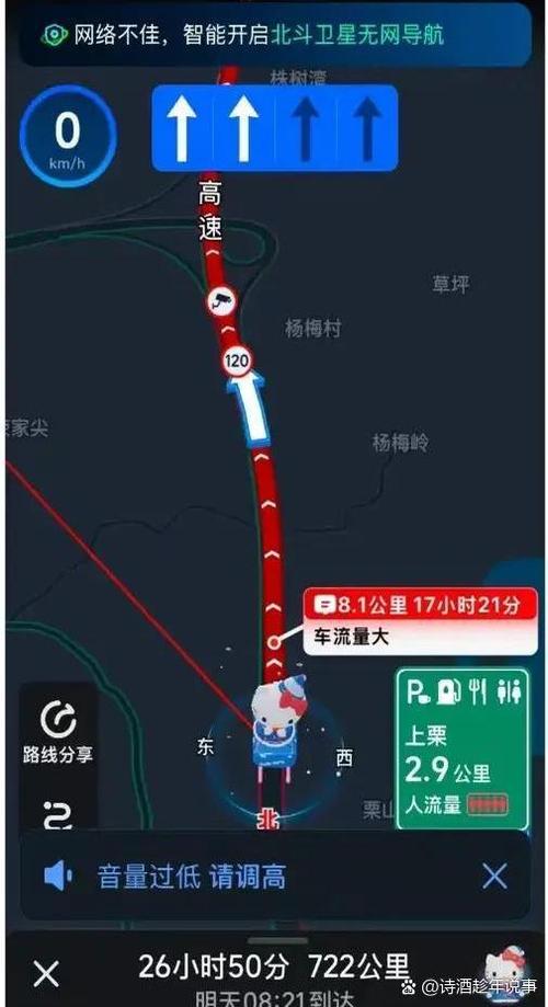 高德导航不走高速怎么弄
