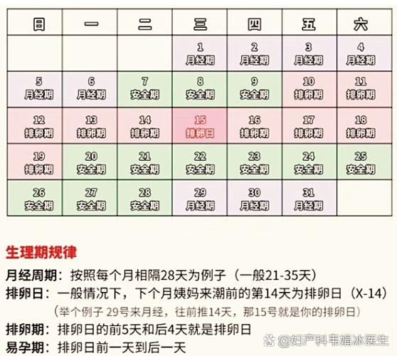 女性月经干净后第几天是排卵期