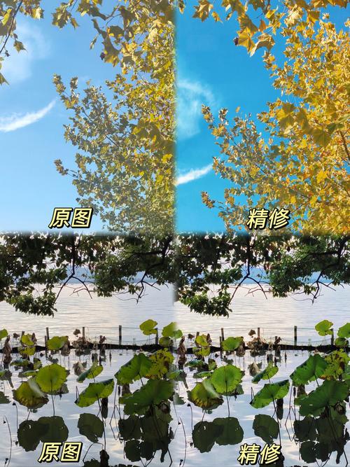 为什么相机拍完画质会变