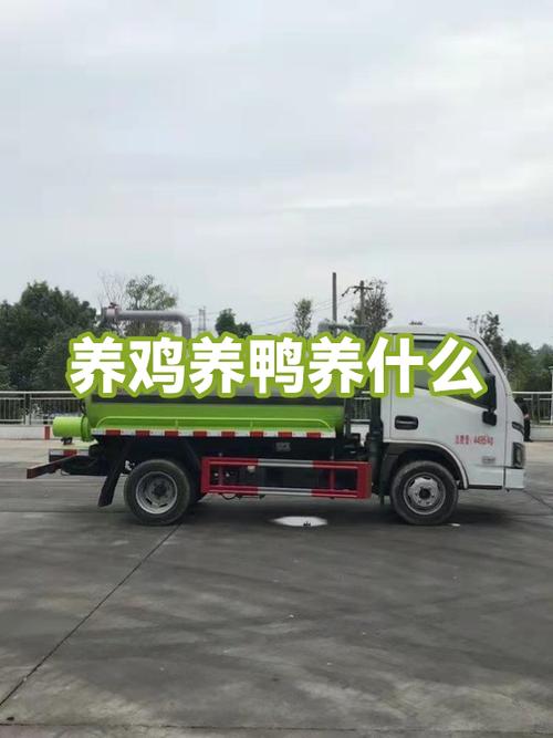养鸡赚钱还是养鸭赚钱