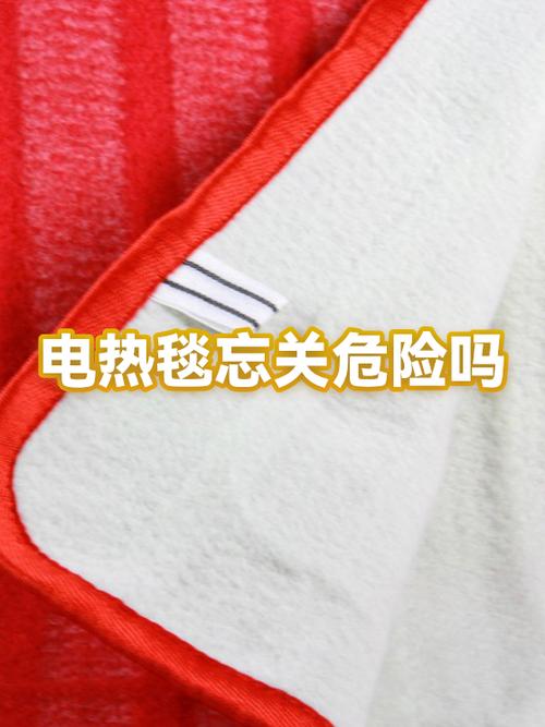 电热毯开关亮但不热