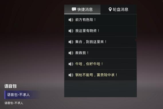 不求人语音包获取方法