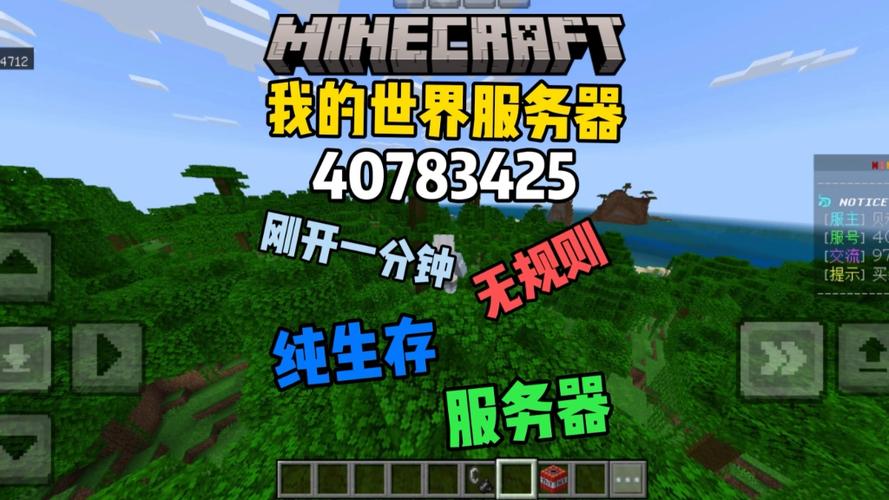 我的世界网易无规则服务器