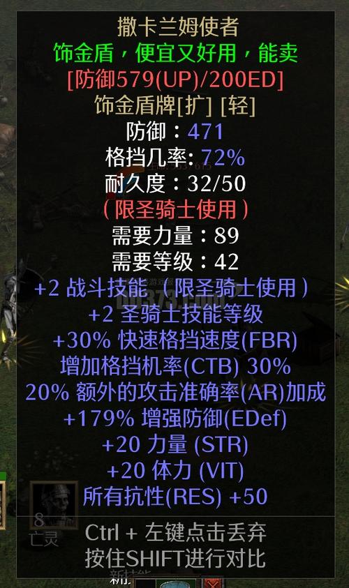 暗黑2圣骑士专用盾