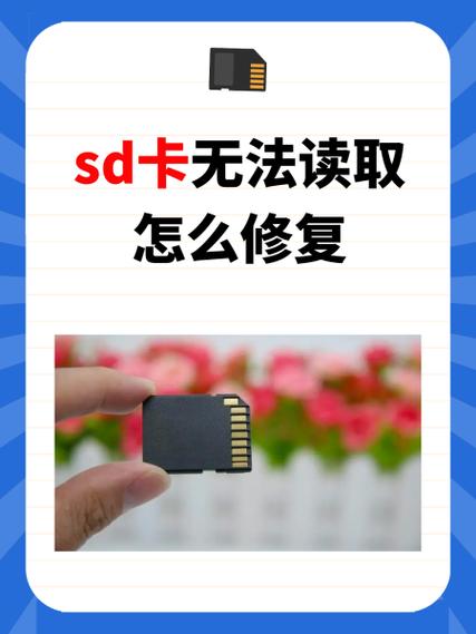 内存卡图片显示不出来
