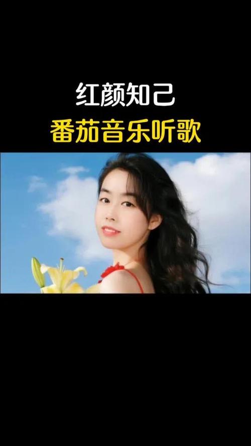 番茄歌曲大全100首