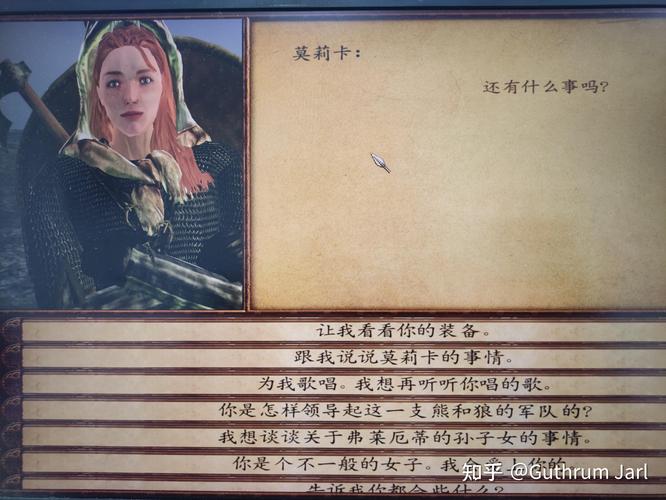 维京征服npc加点
