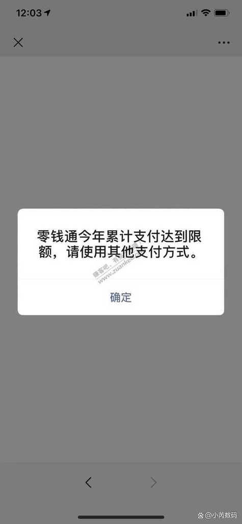钱存死期能微信支付吗
