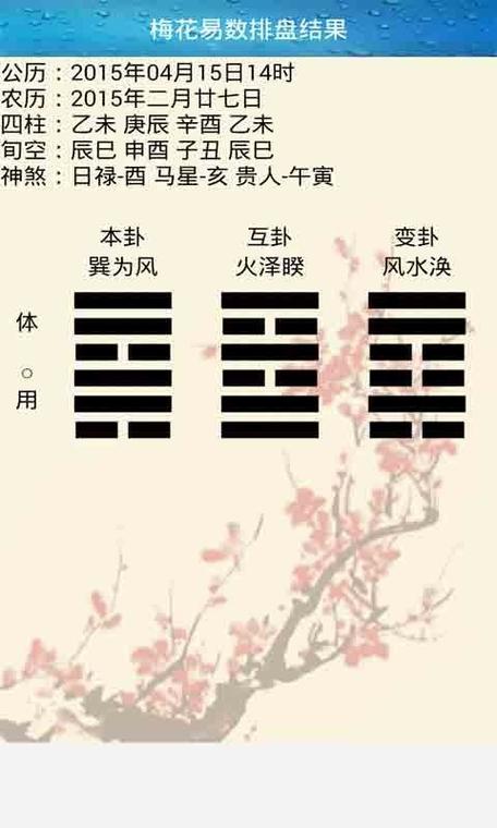 中华易学梅花易排盘软件