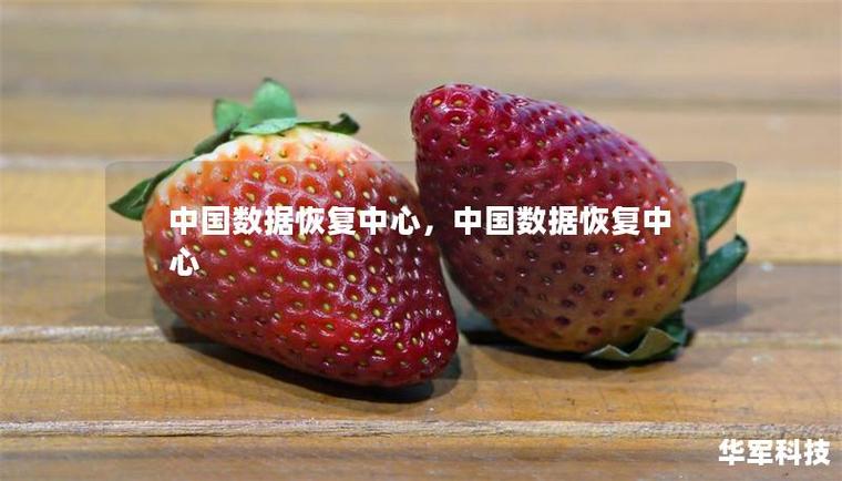 中国数据恢复中心