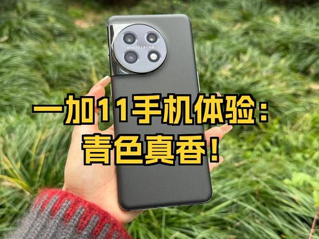 一加11屏幕尺寸