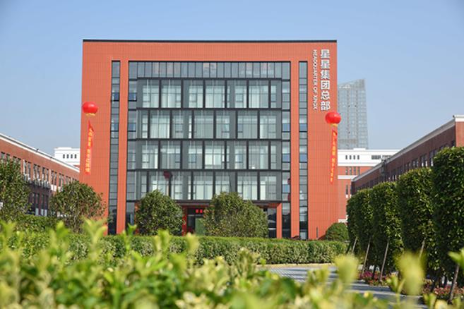 中国星集团是国企吗