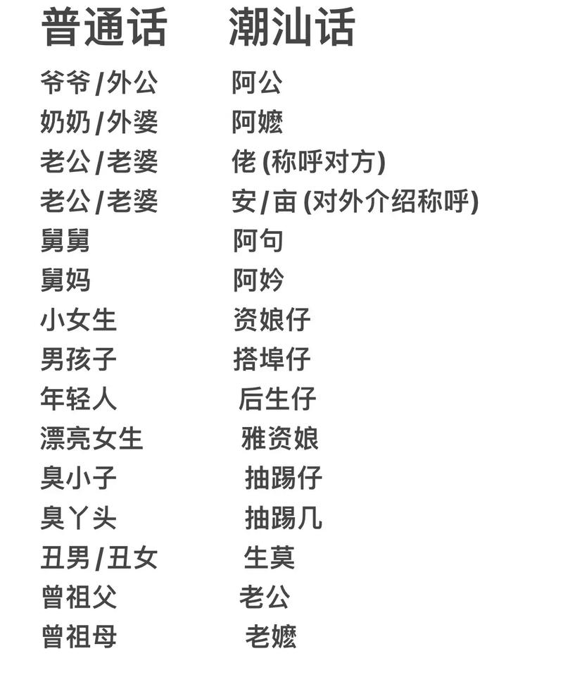 在线潮汕话翻译语音