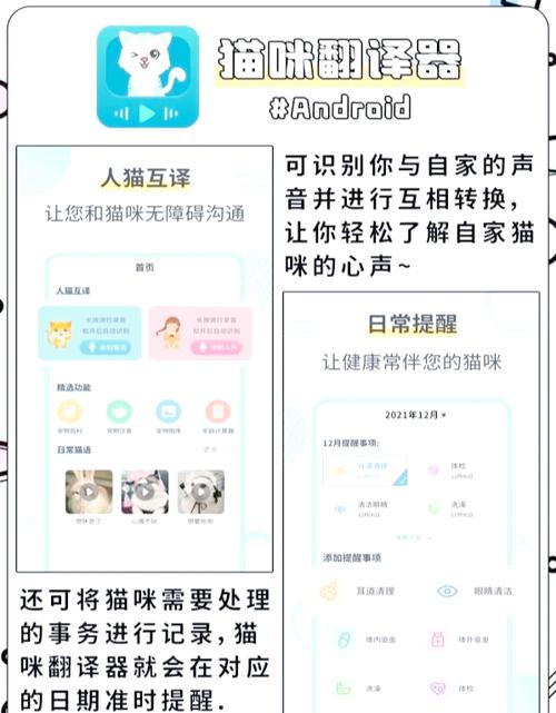 猫咪对话翻译器