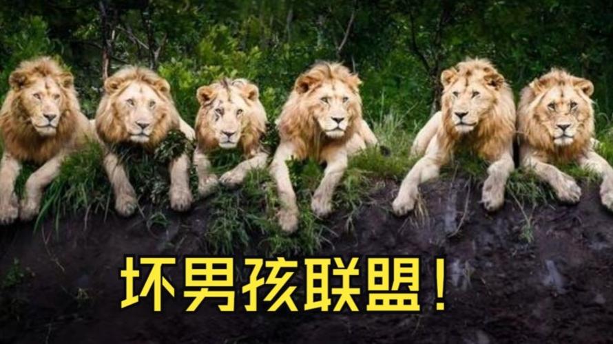 菲律宾电影《玩坏男孩》主演是谁