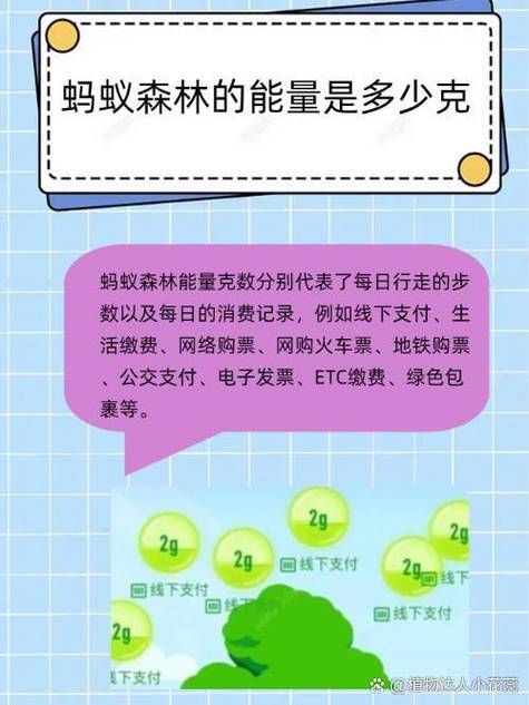 52g蚂蚁森林能量是什么