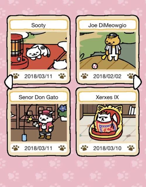 猫咪后院22只特殊猫