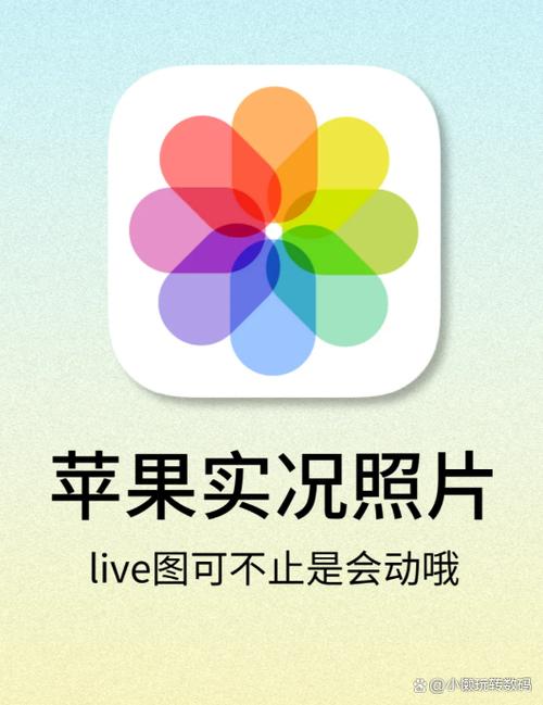 iPhone照片不可编辑