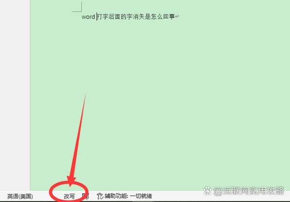 word文档中输入文字后消失的解决方法
