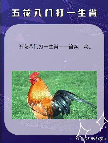 冲锋陷阵猜一生肖