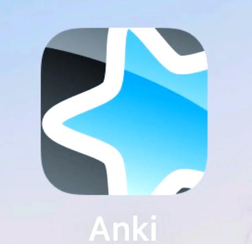 如何进行ANKI考试