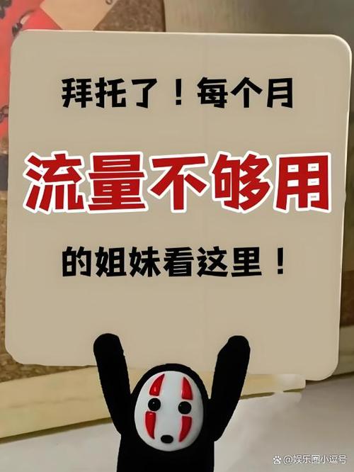 iPhone无法使用流量