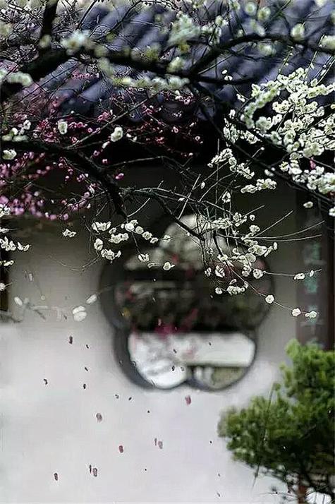 《青砖黛瓦》全诗