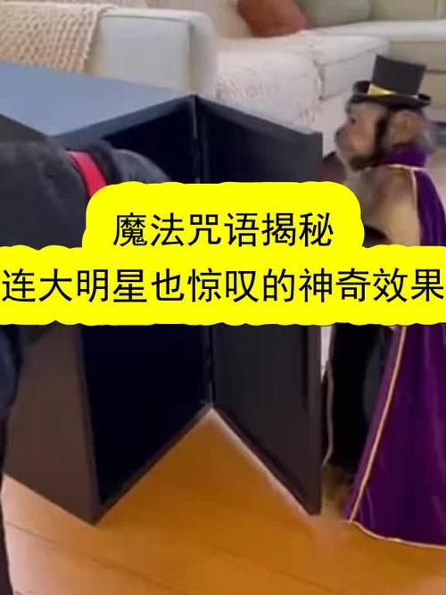 缔默魔法咒语