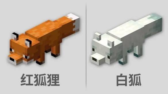我的世界狐狸怎么驯服?
