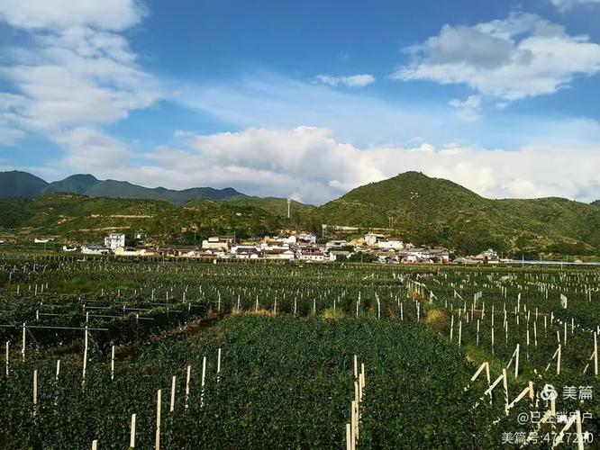 手机开频出来新闻咋关