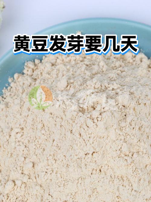 黄豆放土里几天能发芽