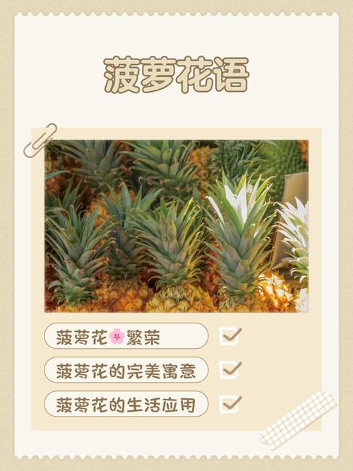 菠萝有什么寓意