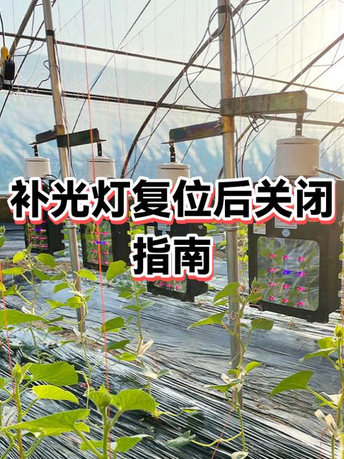 关闭自动补光的方法