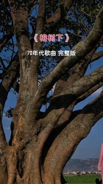 七十年代歌曲经典歌曲