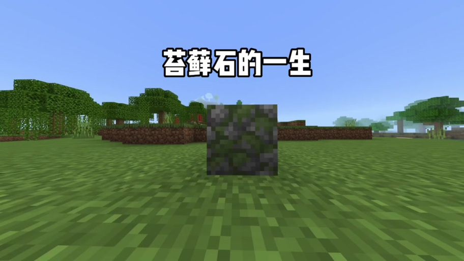 我的世界苔藓块变泥土