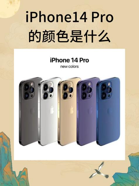 苹果有几个版本