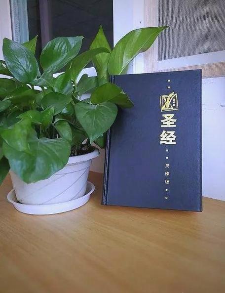 圣经是怎样的一本书,正确答案