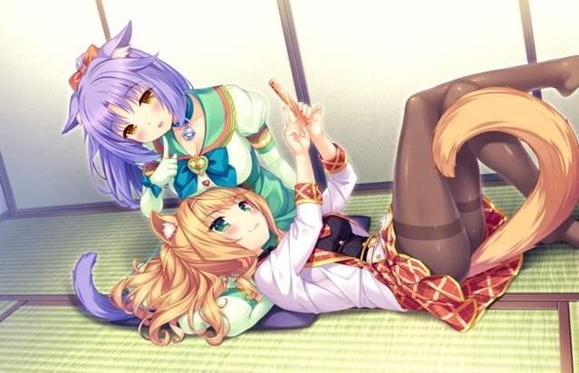 猫娘乐园3无减版在哪能看