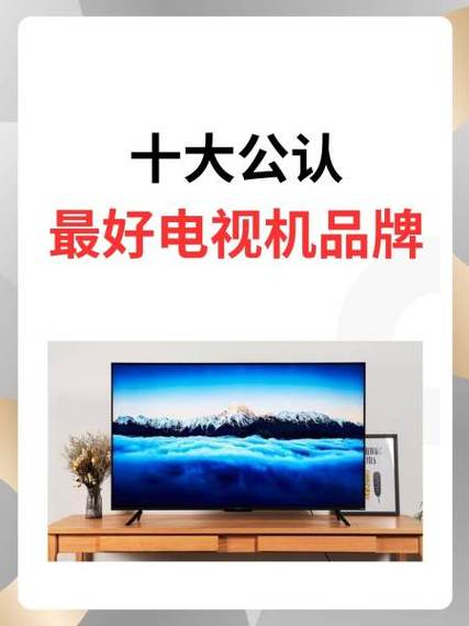 夏新,长虹,志高,哪家电视质量好