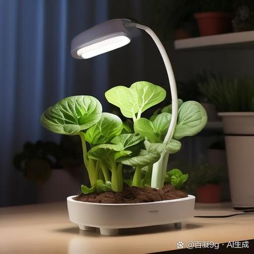 植物补光灯一般开多久合适