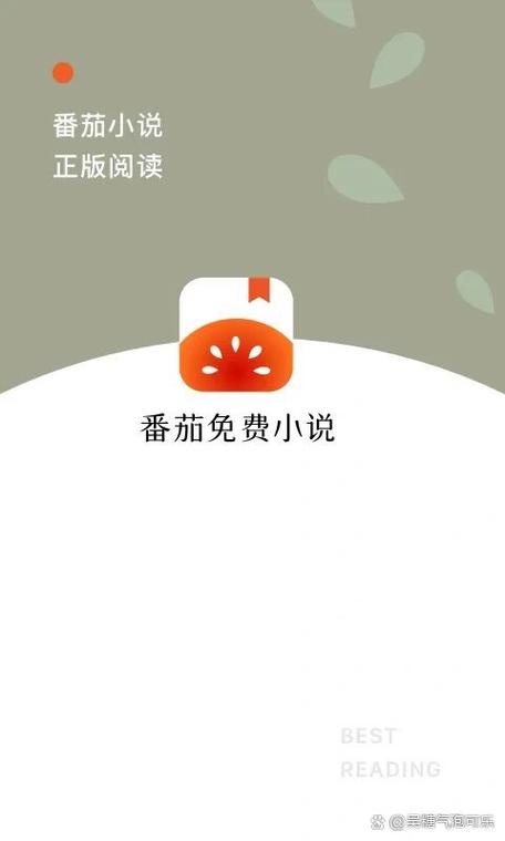 蕃茄小说旧版本iOS