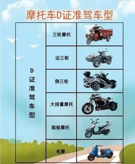 三轮车驾照价格表