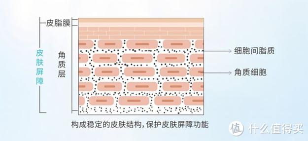 取消屏蔽是什么意思