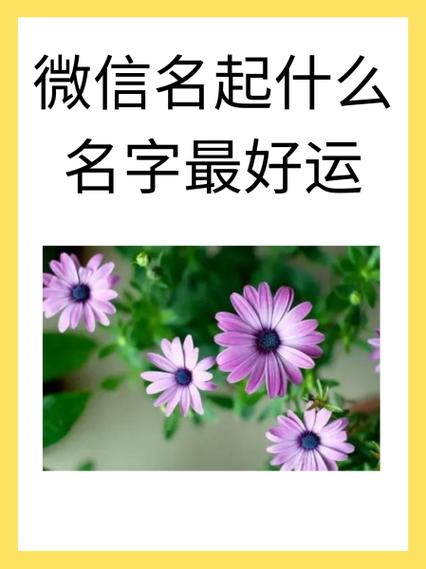 属马缺水最吉利的名字